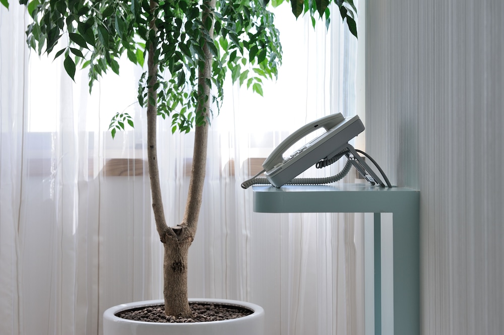 GREEN WORLD HOTEL ZHONGHUA 68/80