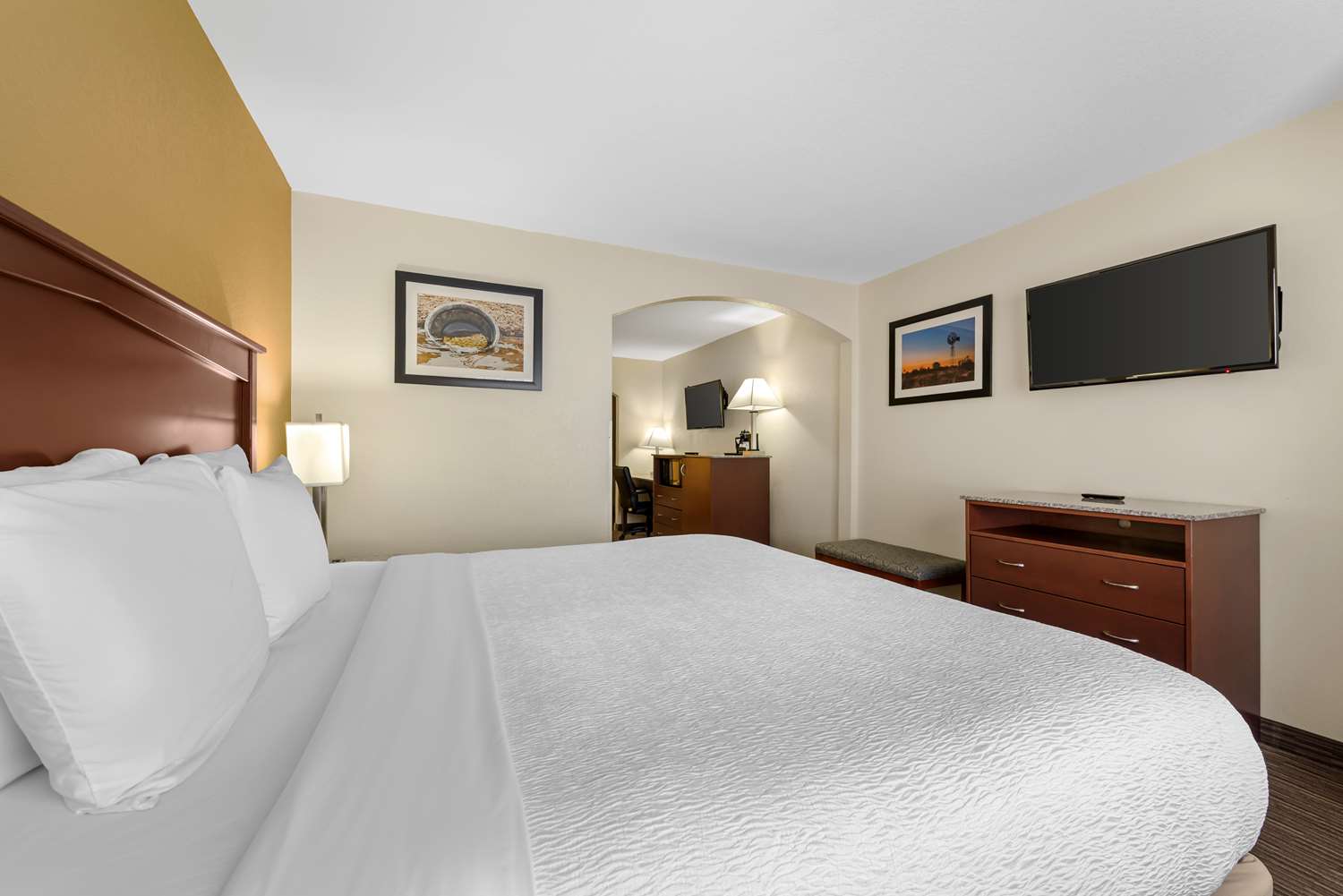 Suite, King Bed, Flat View, Pet Friendly