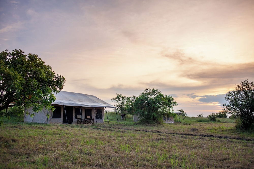 Gnu Mara River Camp 4/50