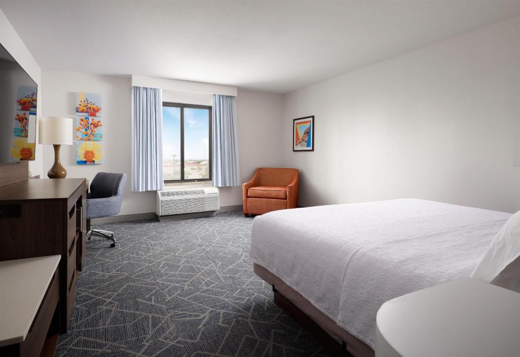Studio, King Bed, Sofa, Accessible