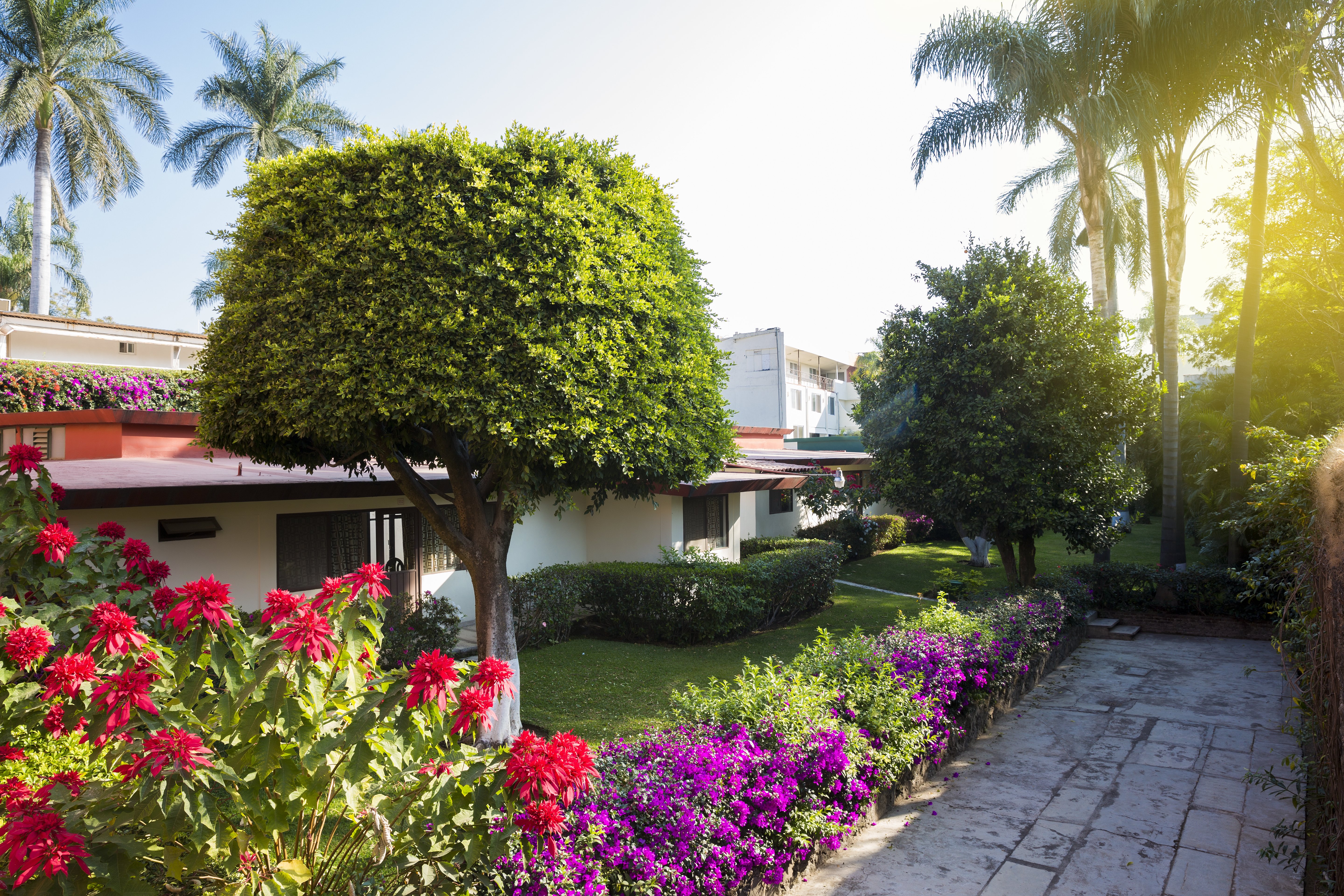 Gamma Cuernavaca Puerta Paraiso 41/50