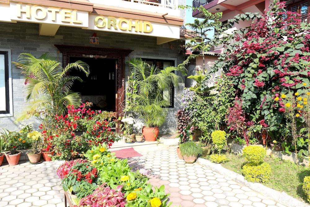 Hotel Orchid 57/59