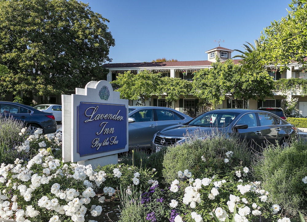 Lavender Inn By The Sea 6/45