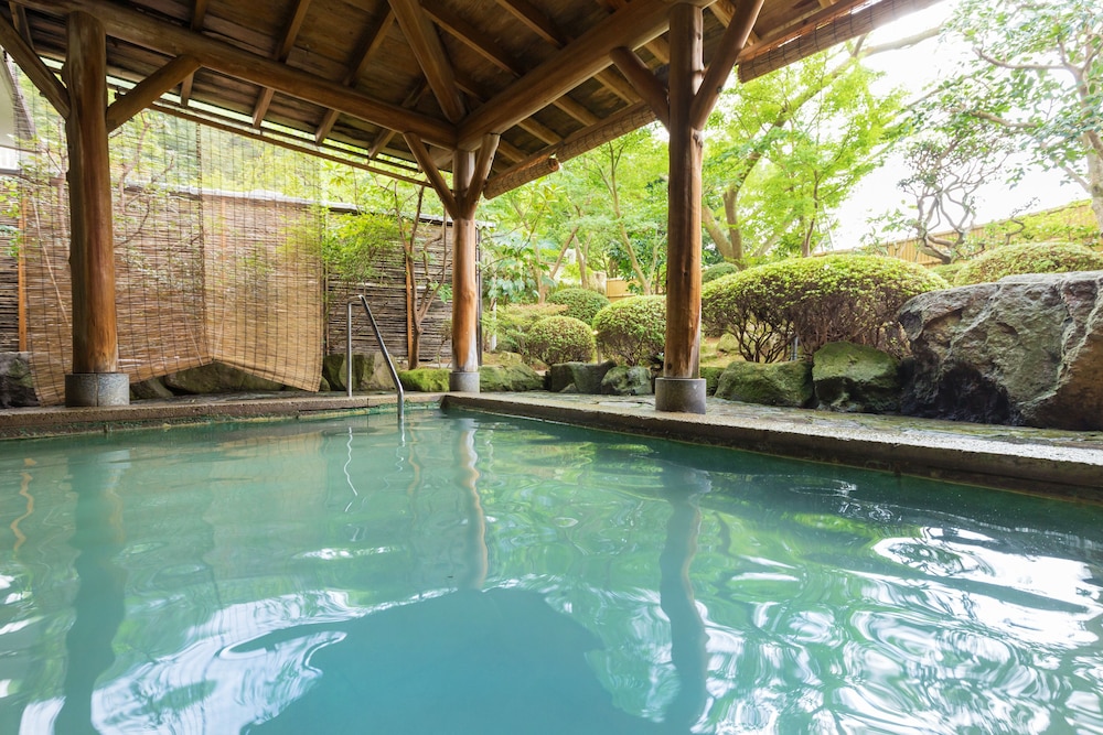 SHINYU HOTEL(RYOKAN) 33/45