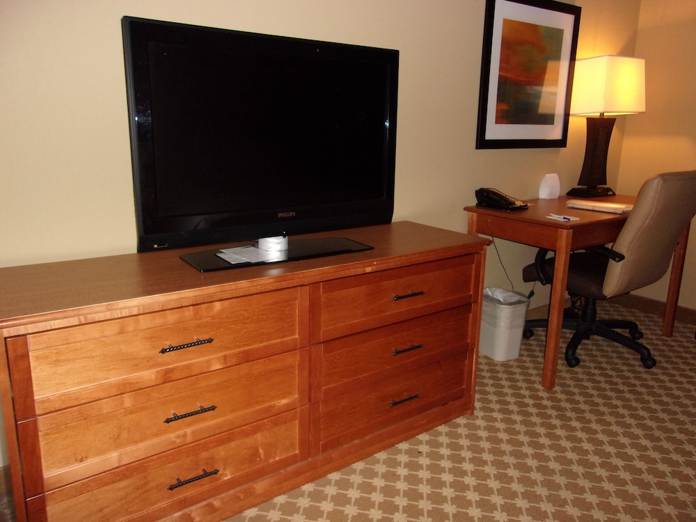 Holiday Inn Express Suites Chicago West Roselle 49/50
