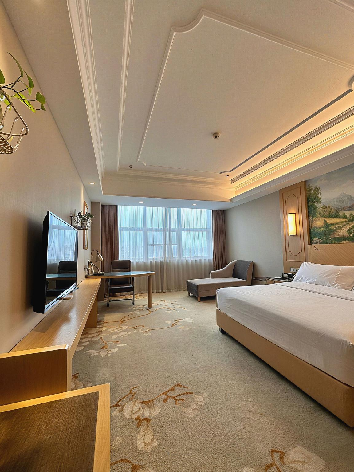 Vienna International Hotel (Wuxi Taihu Expo Center) 20/47