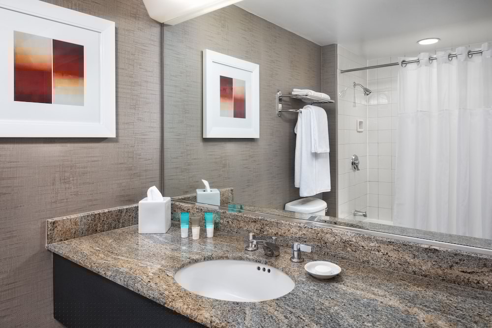 Hyatt Rosemont Near O Hare 15/64
