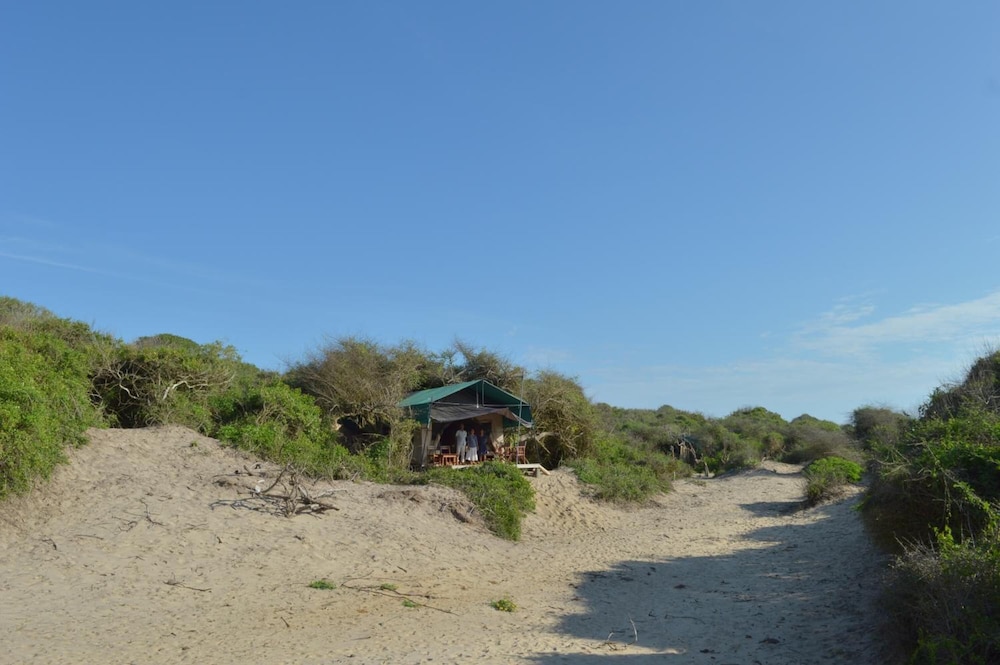 Back Of Beyond Dune Camp - Yala 37/48