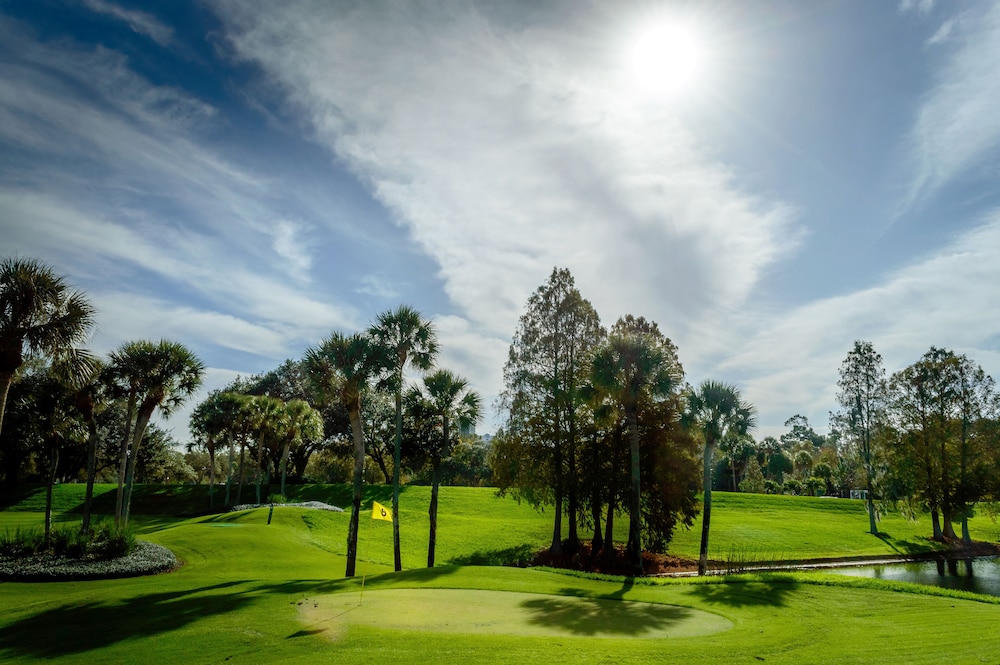 Hyatt Regency Grand Cypress Hotel 29/51