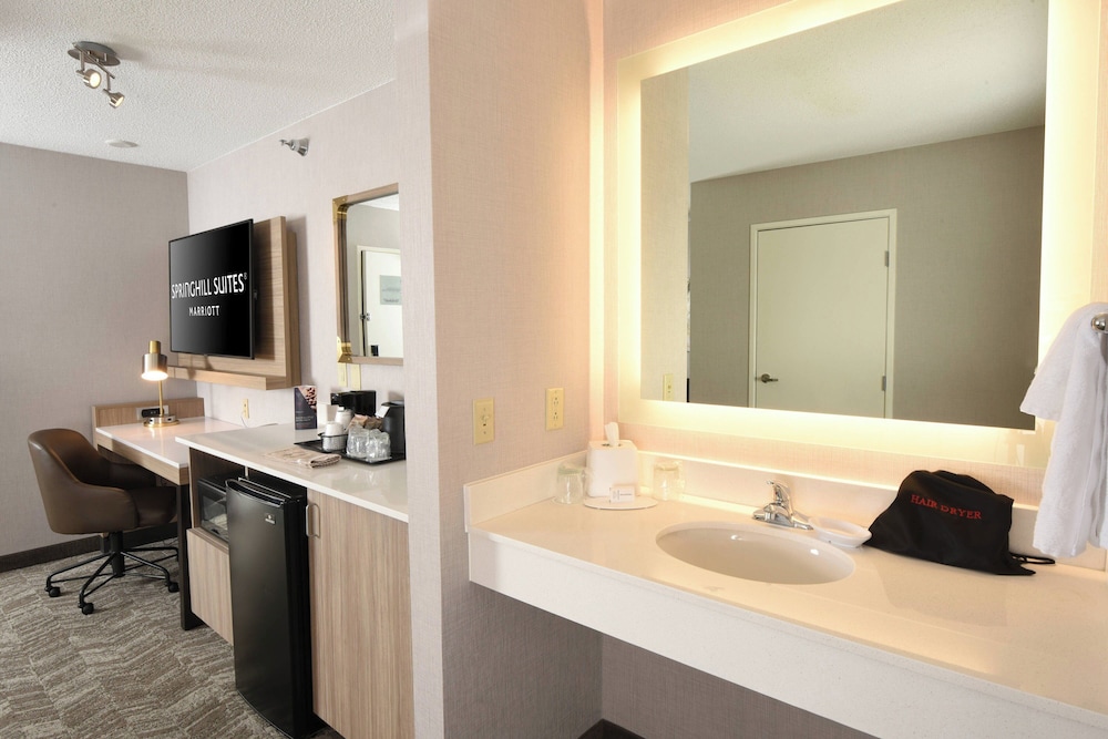 جناح بسرير كينج مع أريكة لذوي الإعاقة، SpringHill Suites by Marriott Des Moines West 3/3