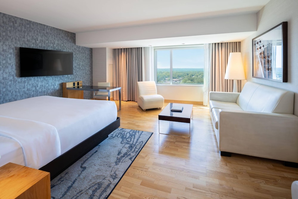 Studio, Suite, King Bed, Valley View, Sofa
