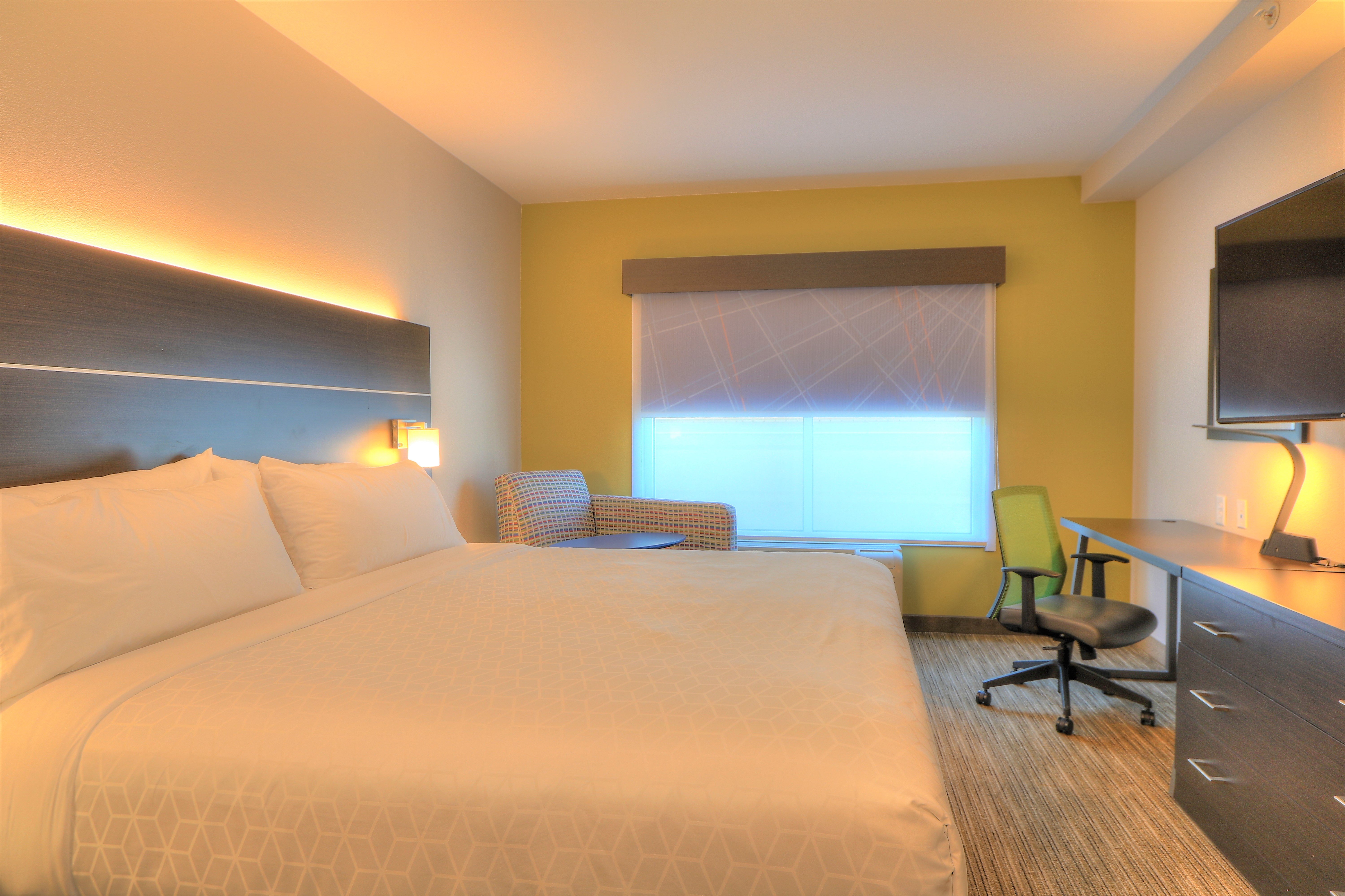 Suite, King Bed
