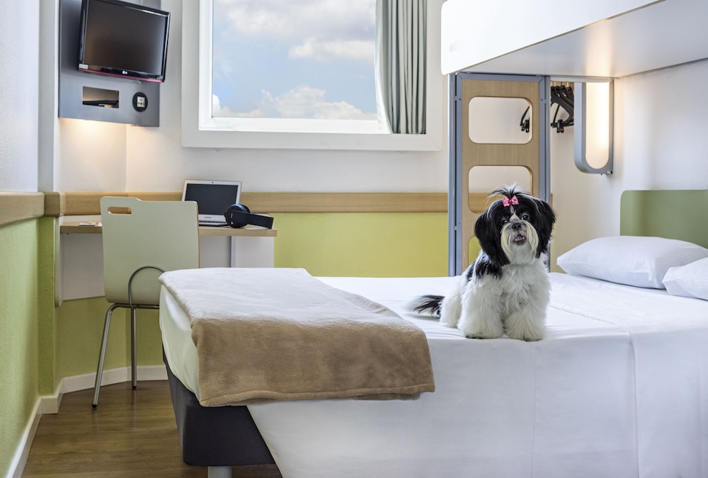 IBIS BUDGET CHATILLON 16/60