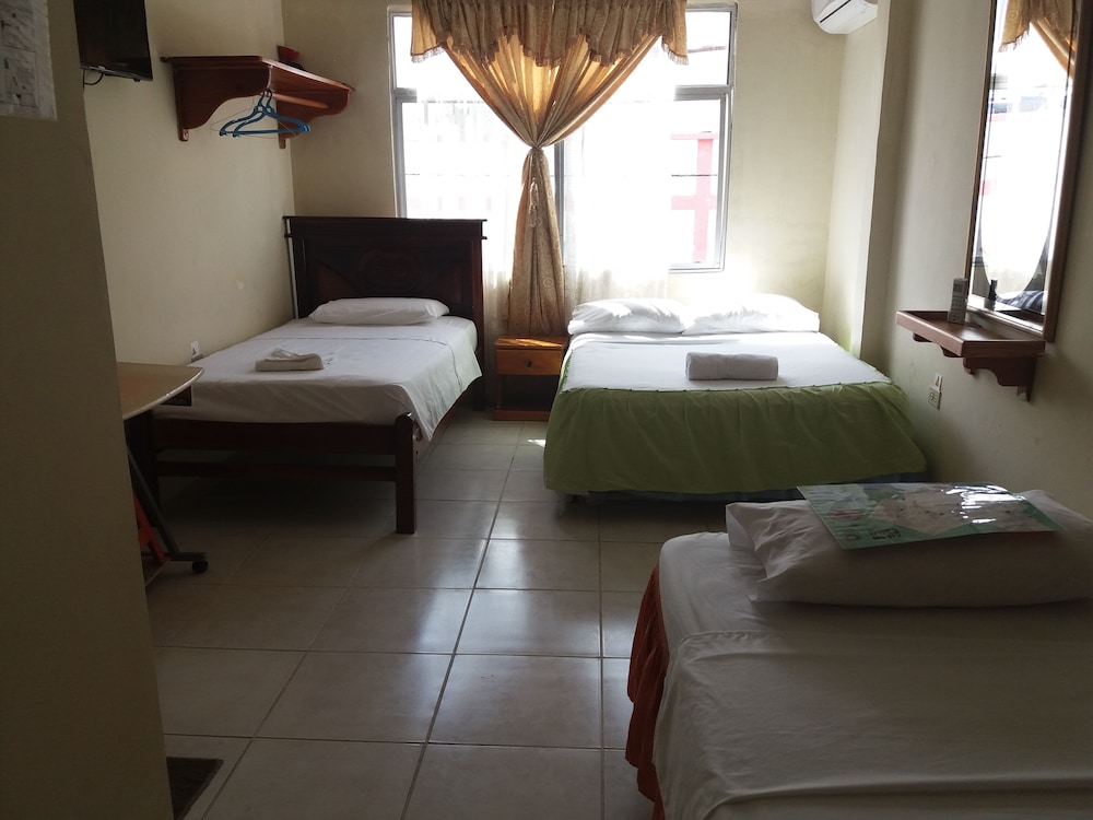 Miconia Hostal 18/49