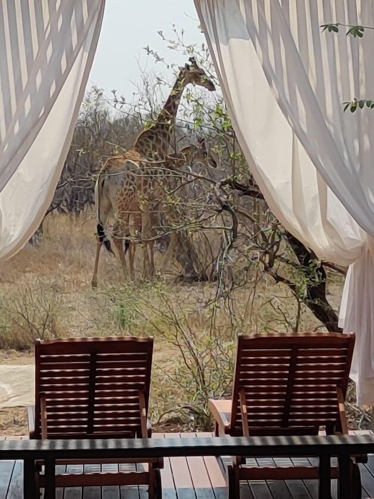 The Baobab Bush Lodge 48/50