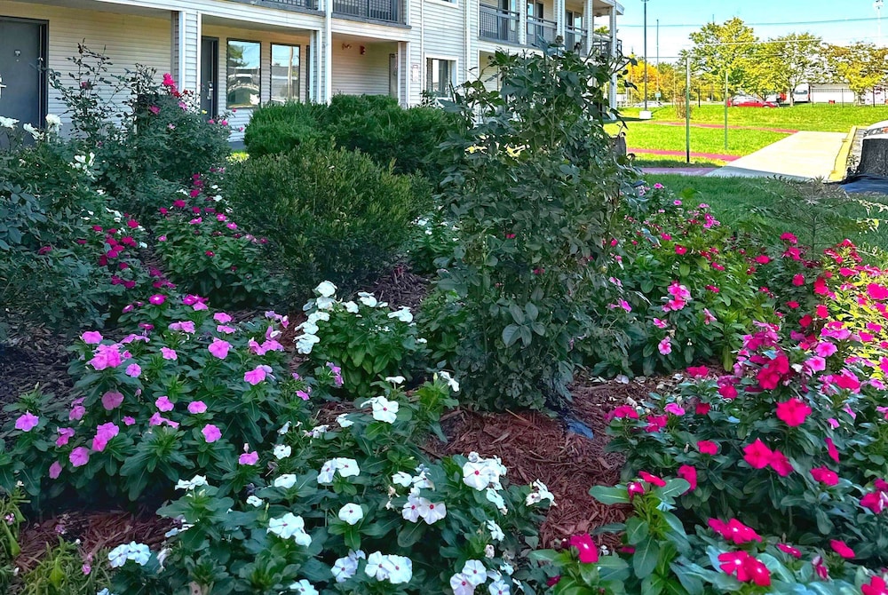 Baymont Inn And Suites By Wyndham Columbus / Near Osu 54/60