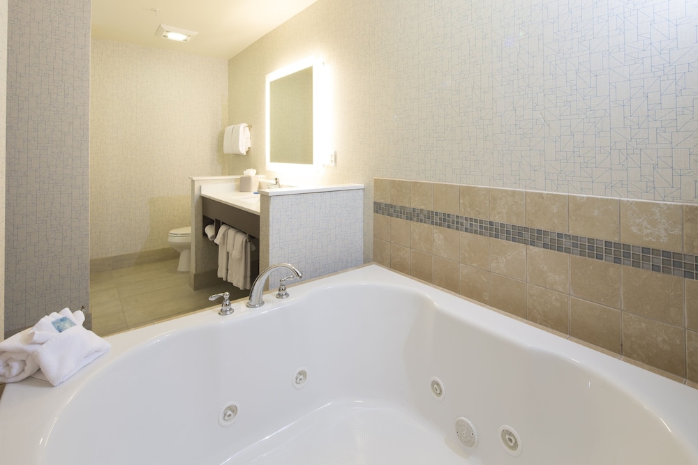 Holiday Inn Express Suites La Porte 14/44