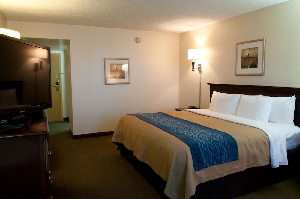 Comfort Inn Las Vegas New Mexico 14/50