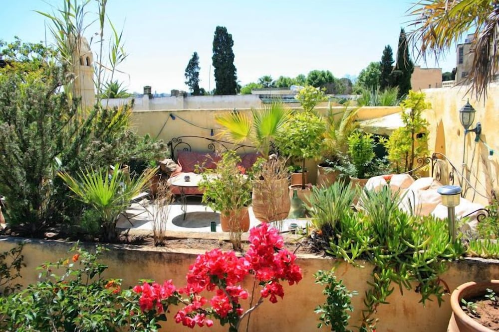 Riad Al Bartal 44/50