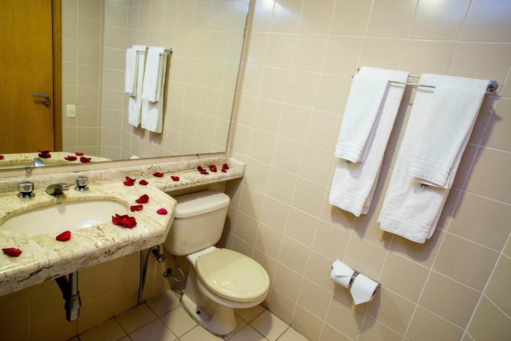 Hotel Golden Park Campinas Viracopos 22/63