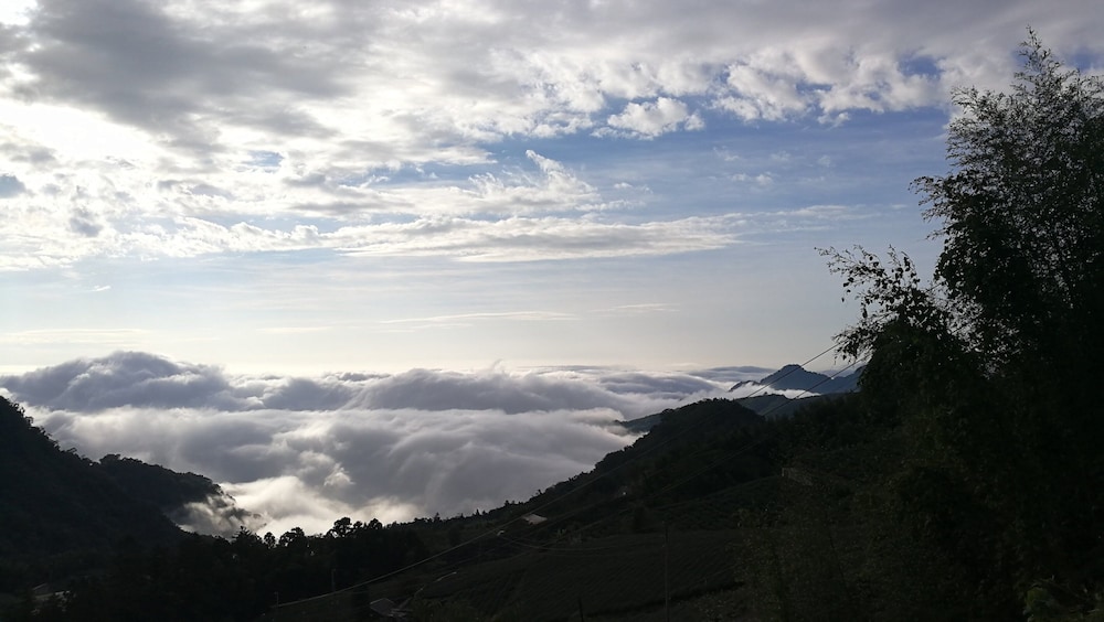 Alishan Tea Homestay 41/50