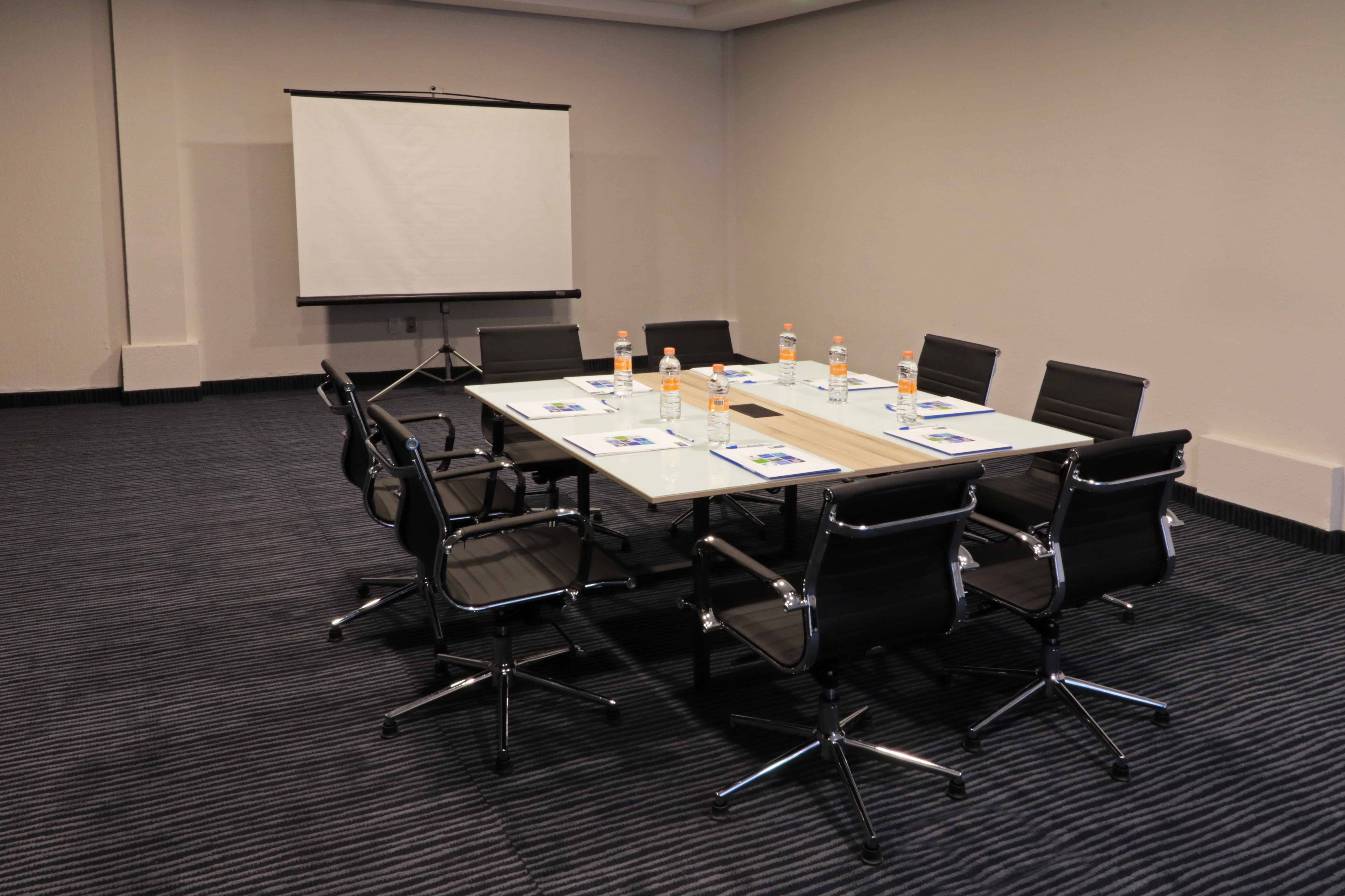 Holiday Inn Express San Luis Potosi 63/80