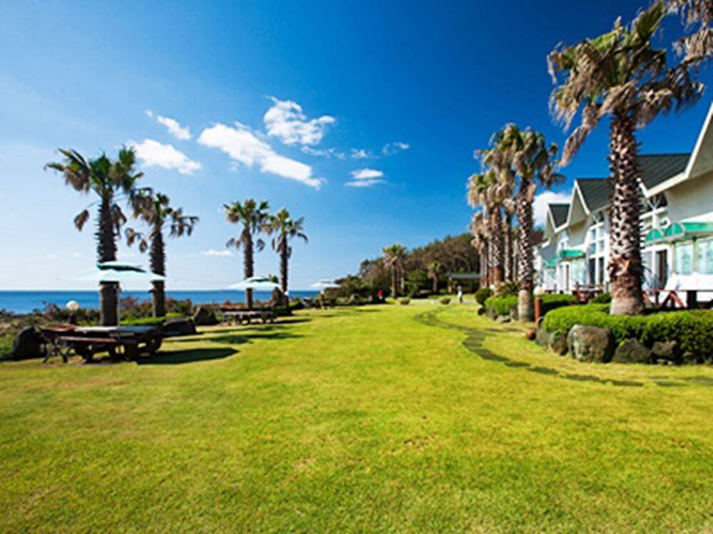 Jeju Bada Walking Pension 15/19