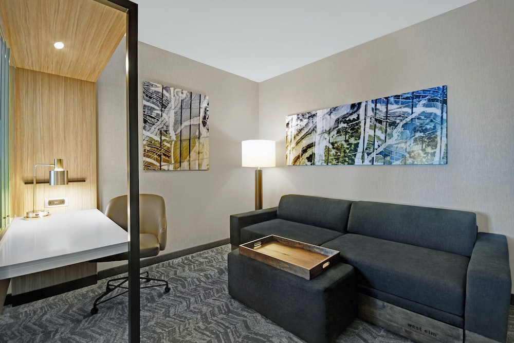 SpringHill Suites by Marriott St. Paul Arden Hills 38/52