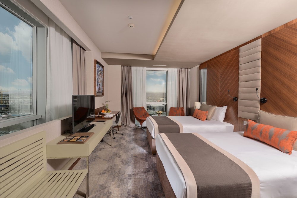 Ankara Alegria Business Hotel 18/50