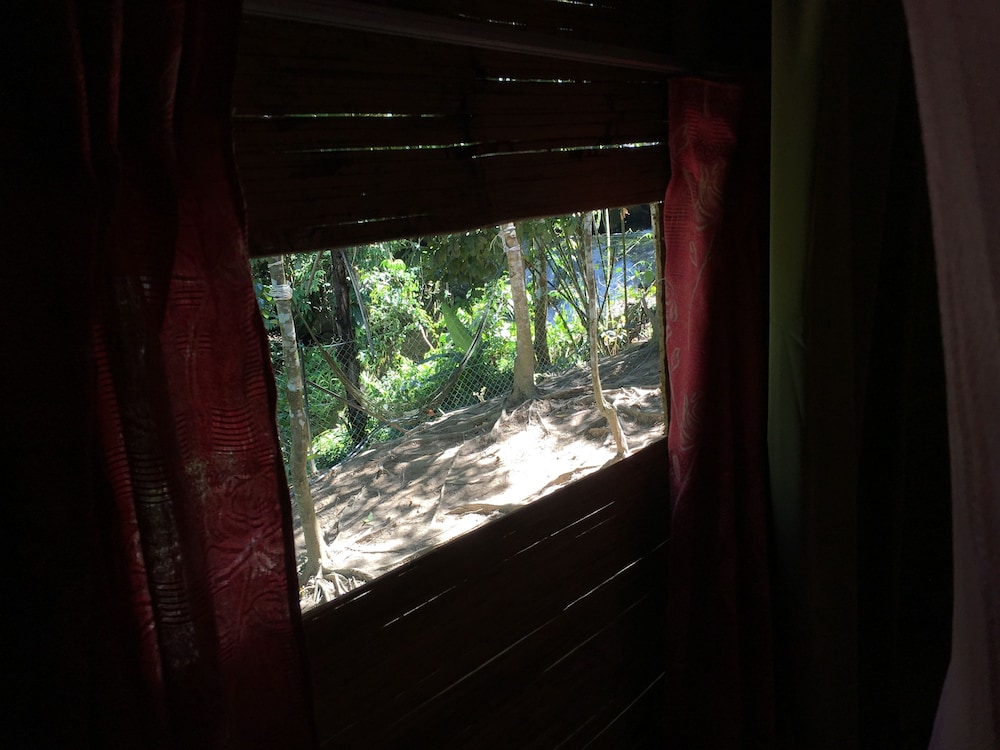 Rain Forest Inn 35/66