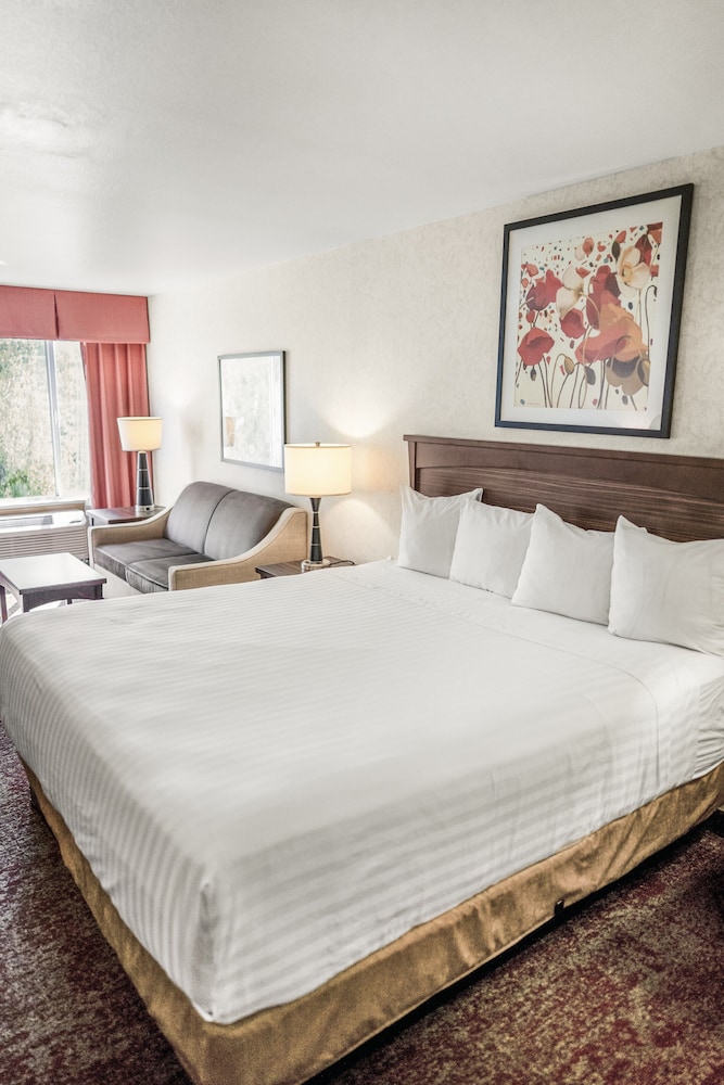 STANDARD, KING BED