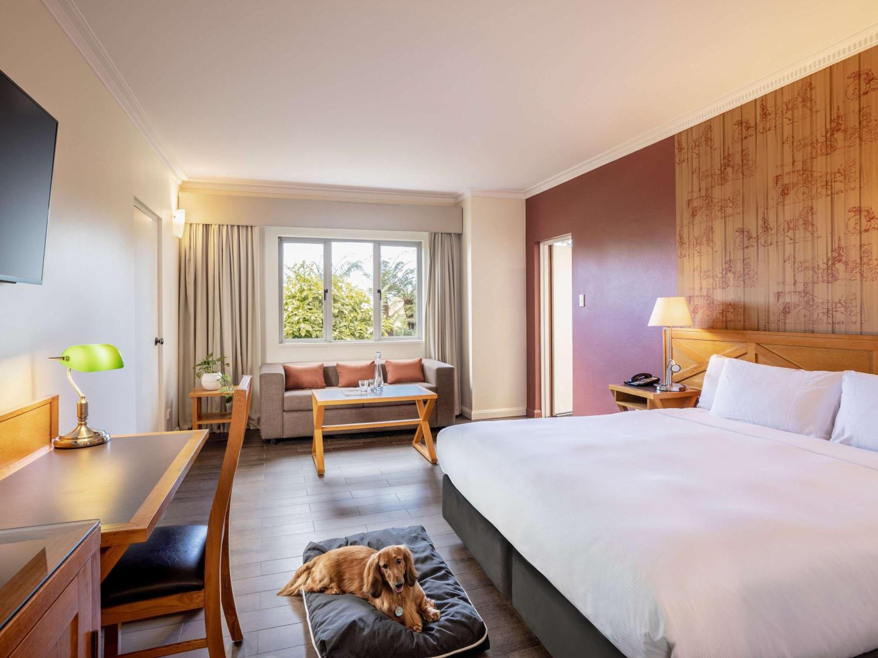 Courtyard, Standard, King Bed, Pet Friendly