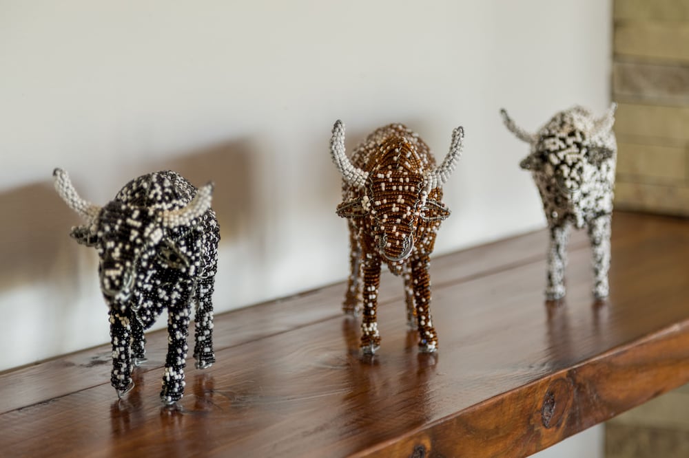 Hopewell Private Game Reserve 24/50
