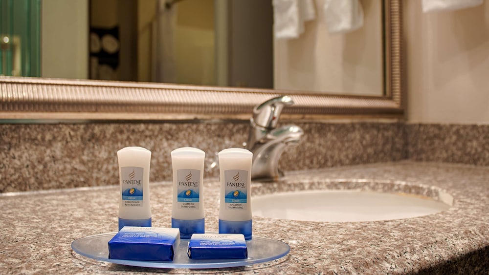 Best Western Plus O'Hare International South Hotel 22/31