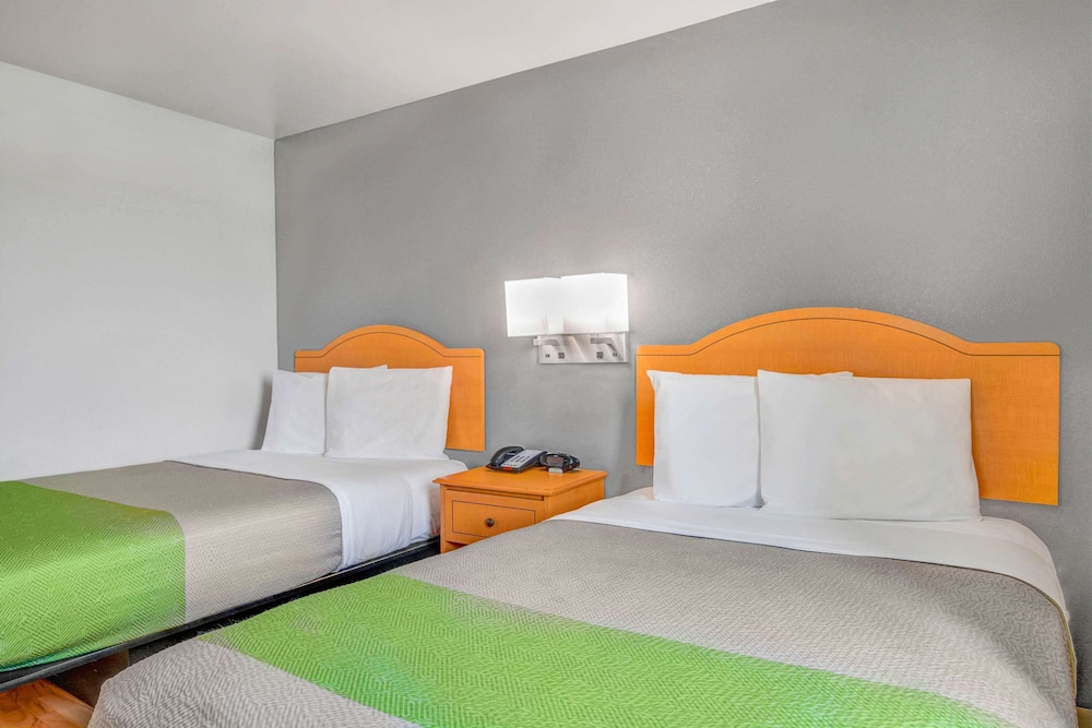 Standard, 2 Double Beds