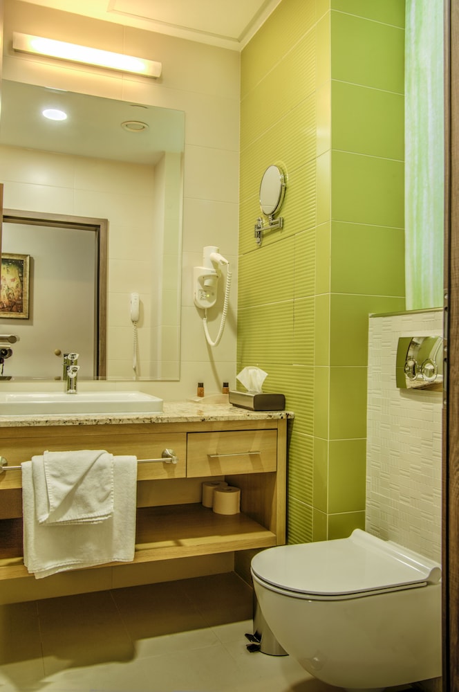 غرفة قياسية مفردة، Holiday Inn Plovdiv 11/11
