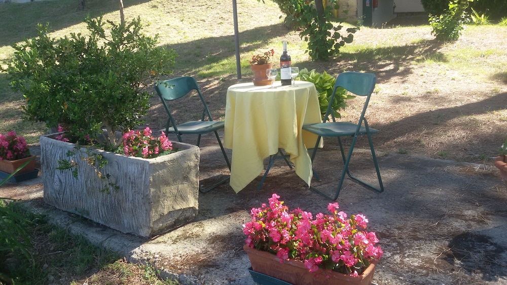 Primavera 15/50