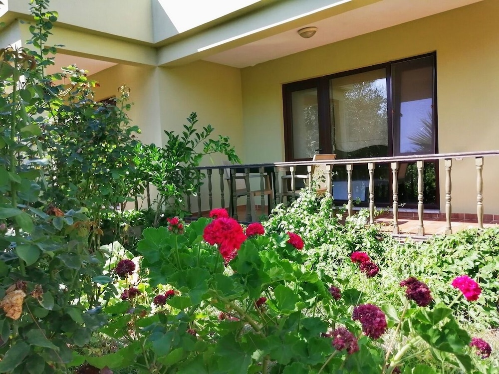 Assos Büyük Yildizsaray Otel 8/50