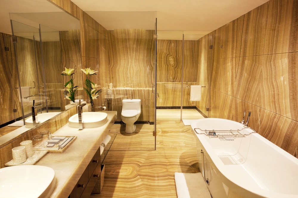 Radisson Blu Plaza Hotel Delhi Airport 38/76