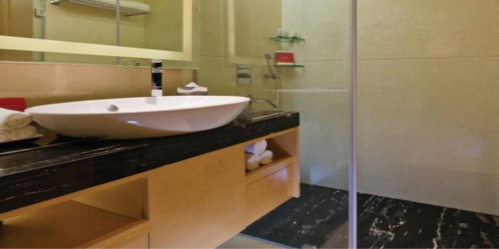 Hotel Sayaji Raipur 71/73