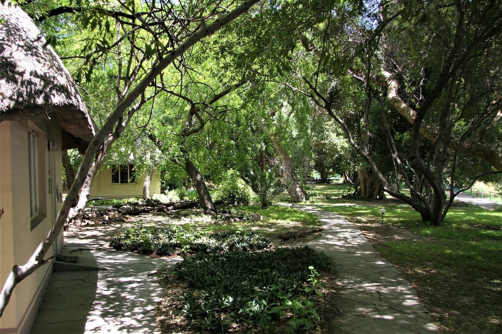 Island Safari Lodge 28/50
