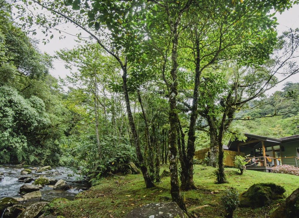 El Silencio Lodge and Spa 29/58