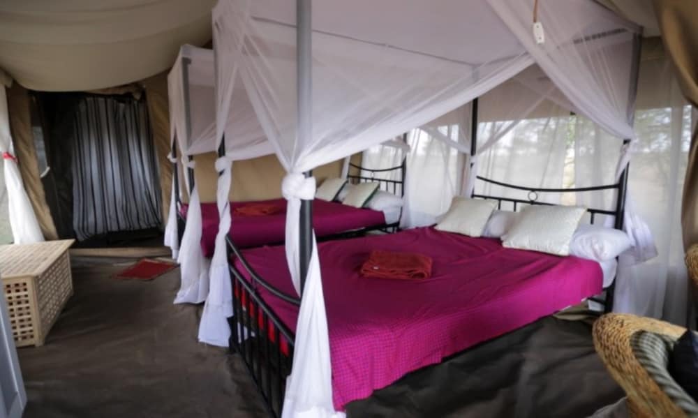 SERENGETI WILDEBEEST CAMP 8/55