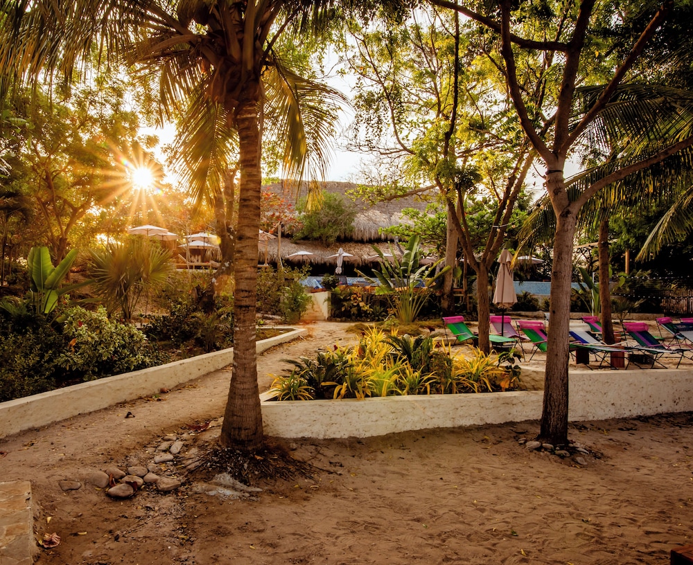 Blue Apple Beach Hotel 28/50