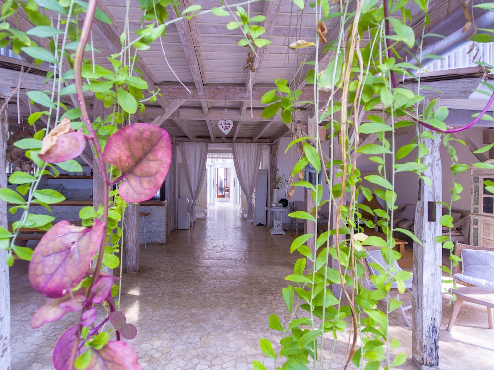 Villa Coral Flora 41/50