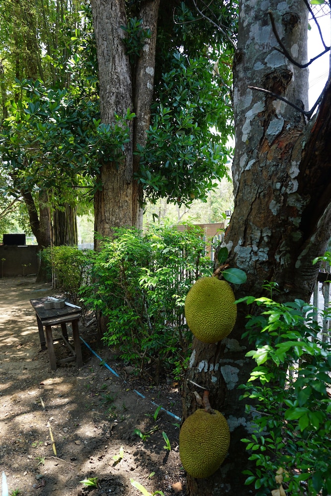 Insight Hostel 30/43