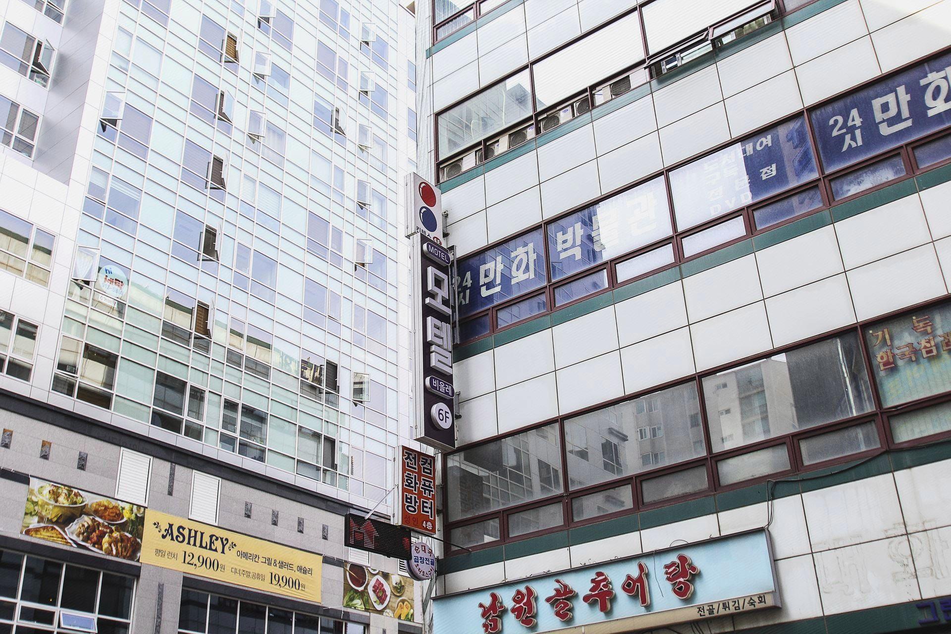 Hotel Violet 6/40