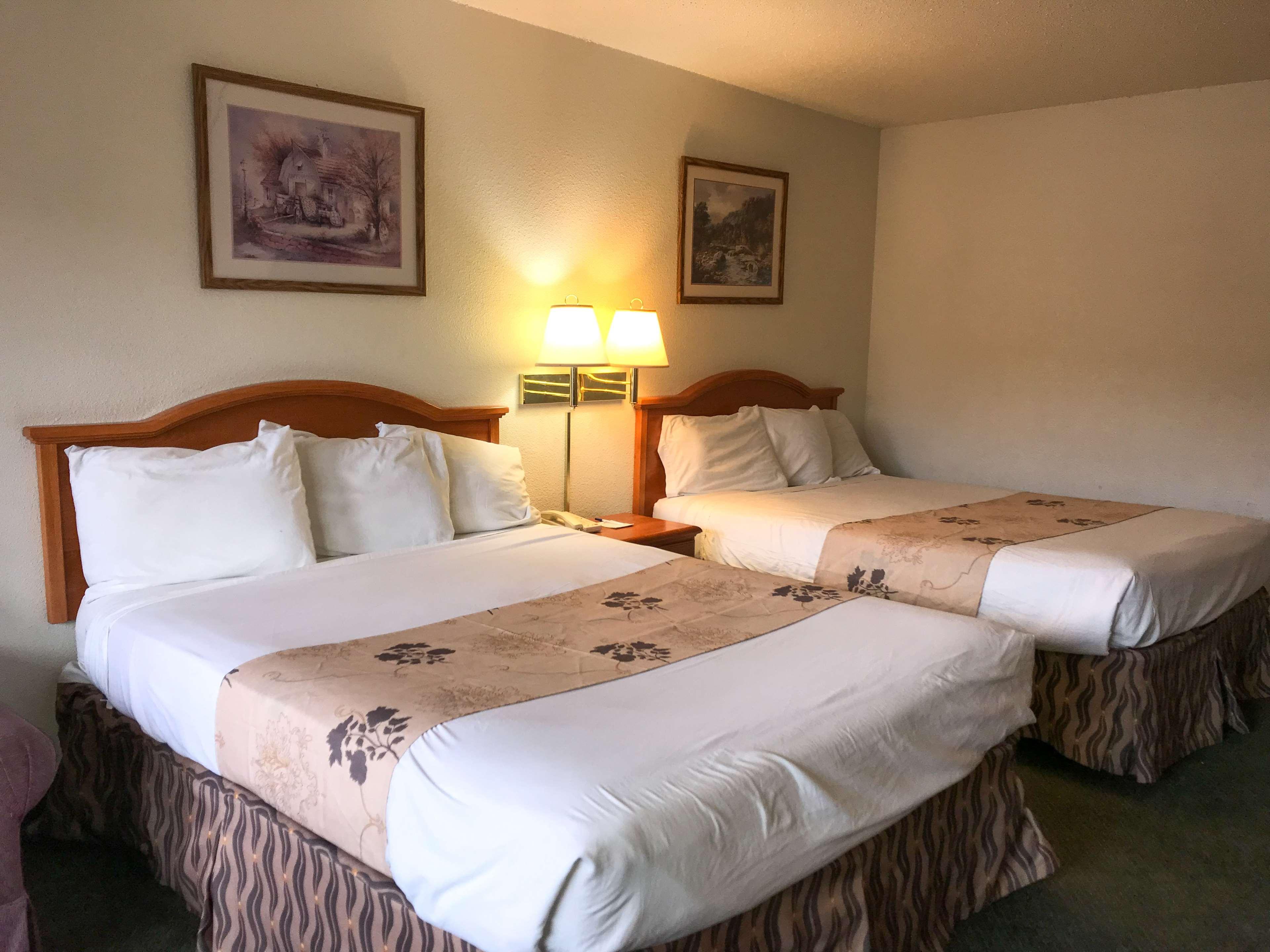 Suite, 1 Single and 2 Queen Beds