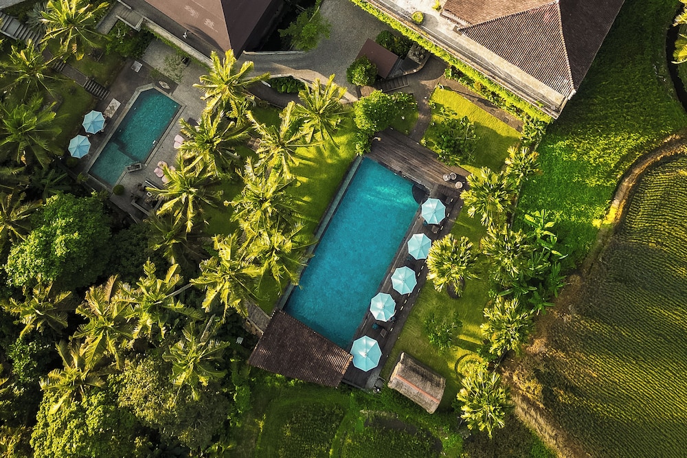 The Artini Resort 44/50