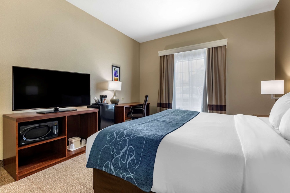 Comfort Inn & Suites Paris 10/33